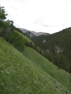 Above Eagle Creek 